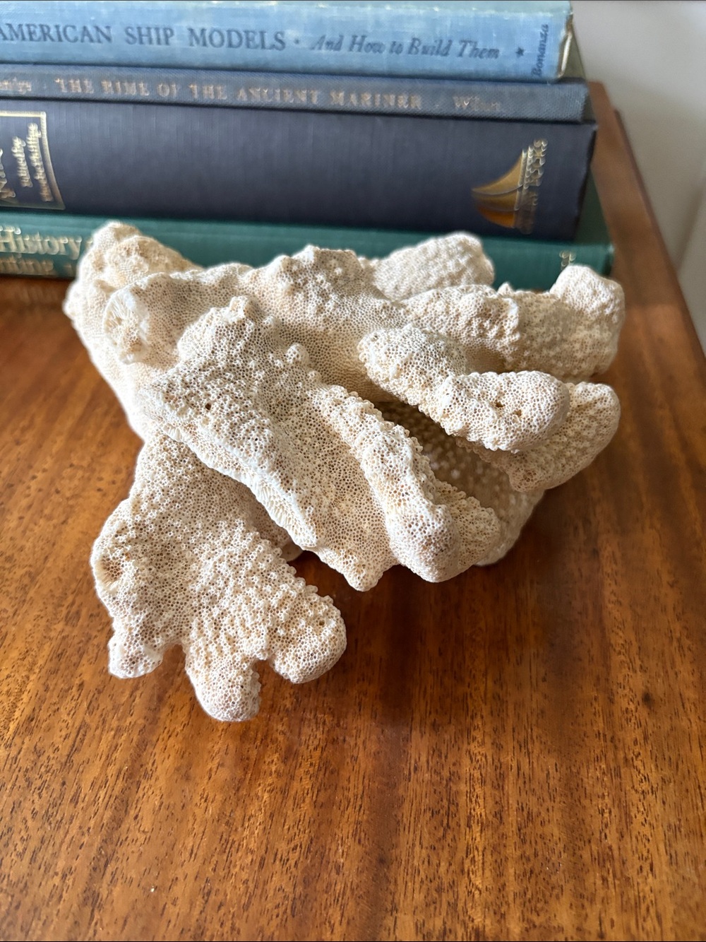 All Natural White Coral, Decorative Accent for Home